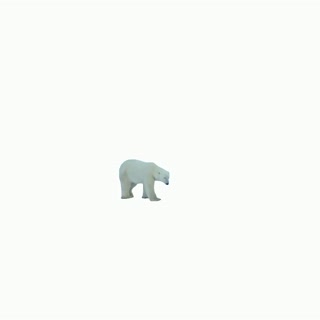 PolarBear