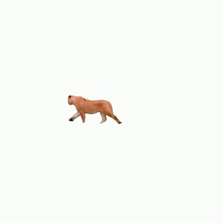 Leapord